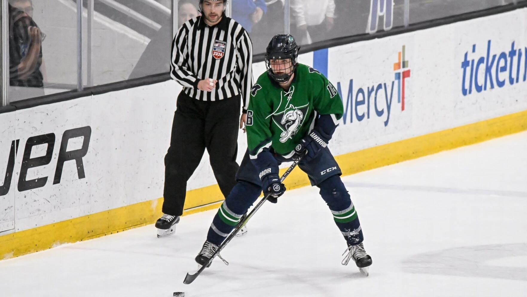 Meet the 2024 All-Metro hockey team